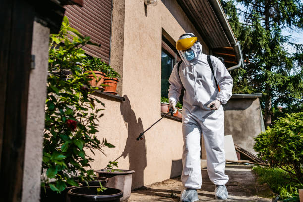 Best Termite Control Services  in Jackson, CA