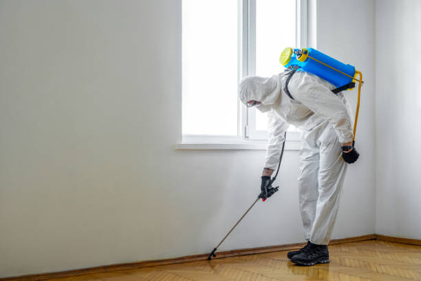 Best Local Pest Control Services  in Jackson, CA