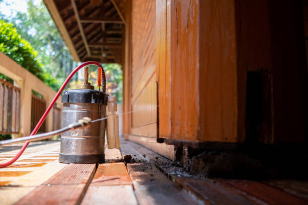 Best Insect Control  in Jackson, CA